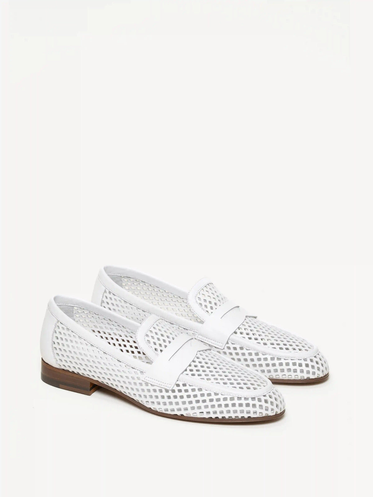 The Sacca Donna Lattice