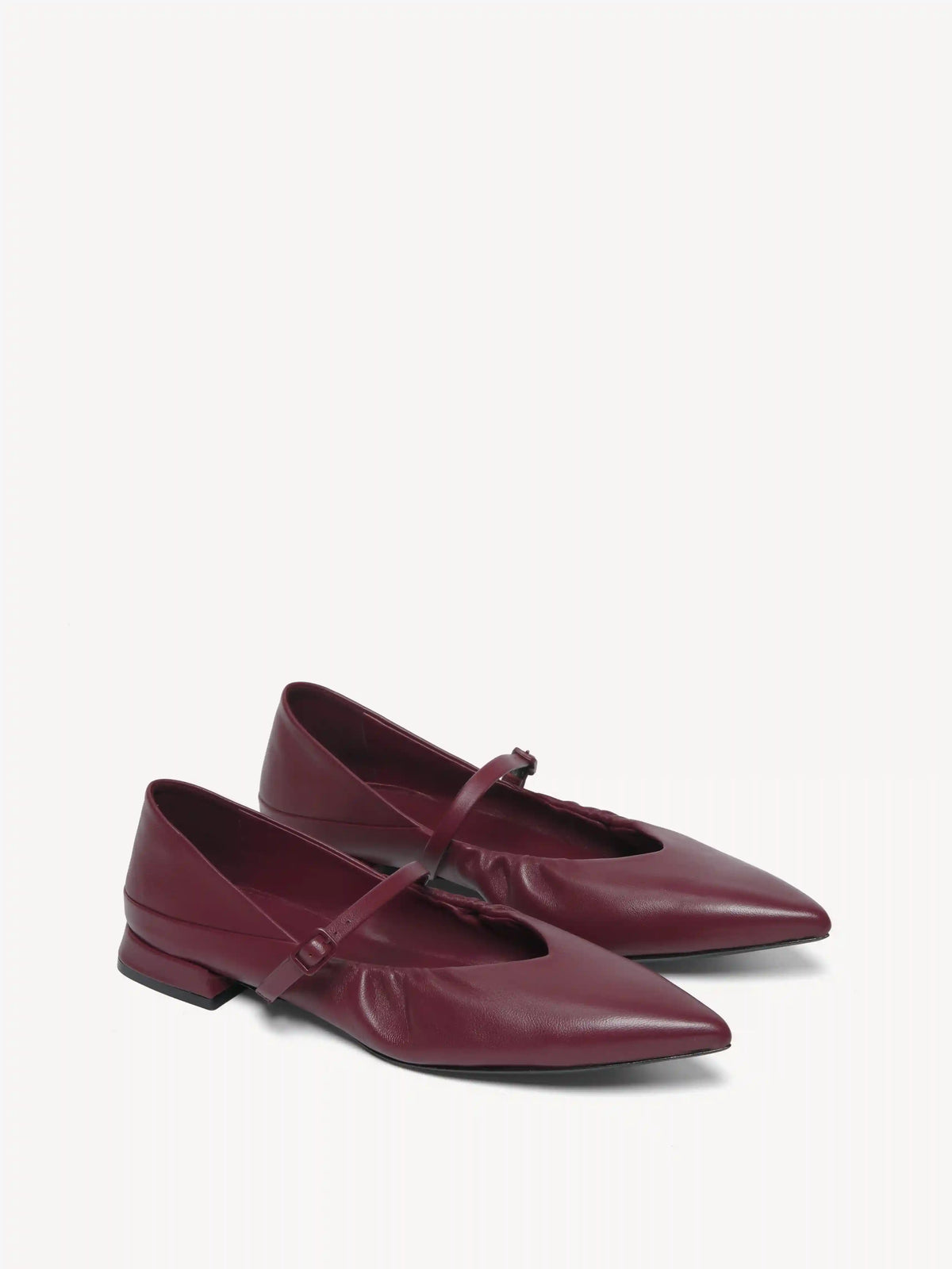 The Loriana